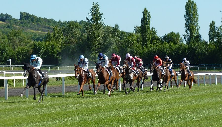 odds matcher horse racing offers