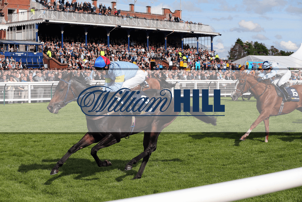 will hill racing