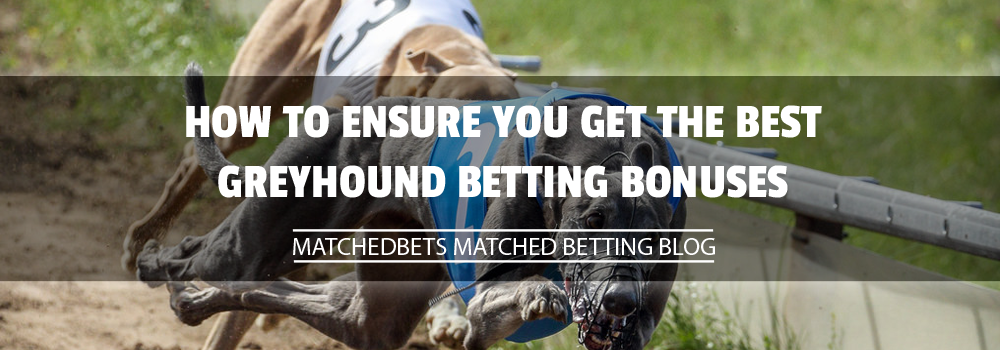 How to Ensure you get the Best Greyhound Betting Bonuses