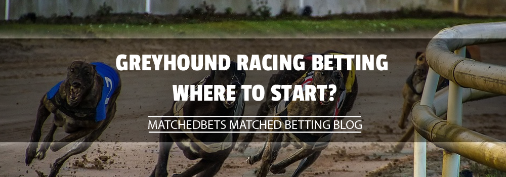 Greyhound Racing Betting – Where to Start?