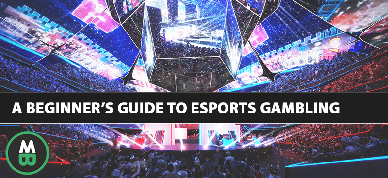 A Beginner’s Guide To eSports Gambling