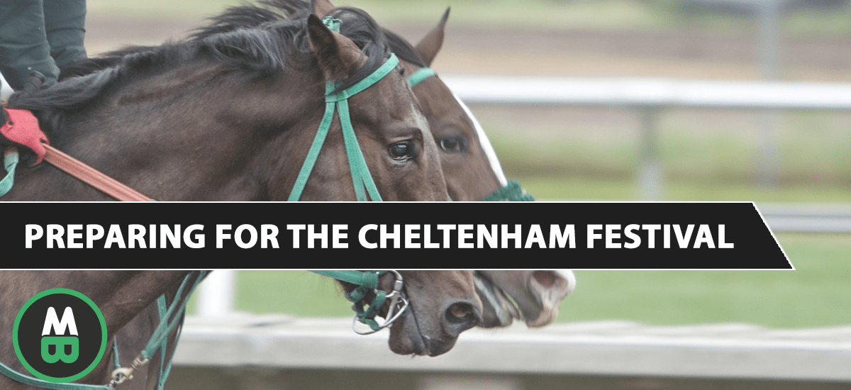 Preparing for the Cheltenham Festival