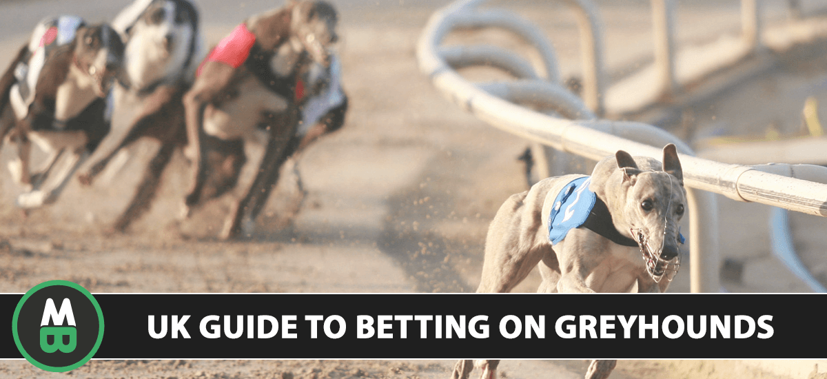 guide to betting on greyhounds